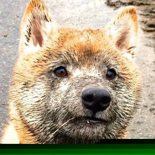 绝境托尼！西决生死战化身灭霸，舞台越大他越强