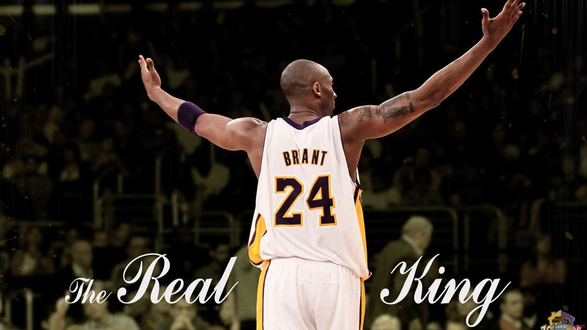 开云体育在线-拉齐奥提前终结悬念，加维三记绝杀成为关键先生